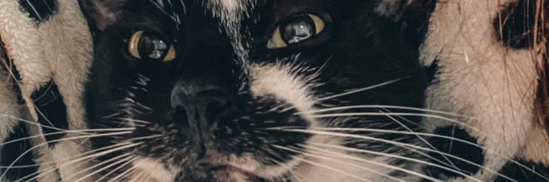 luhkrauser's profile banner image