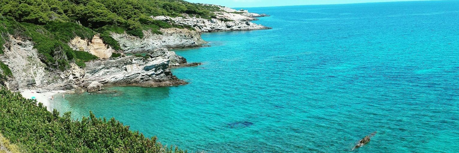 Drive for Show banner