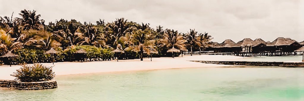 kattislundinLMM's profile banner image