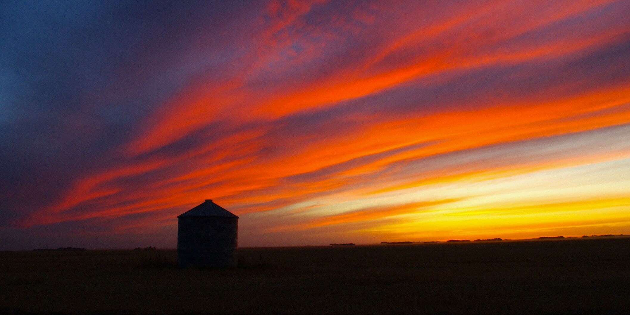 Rob Warkentin banner