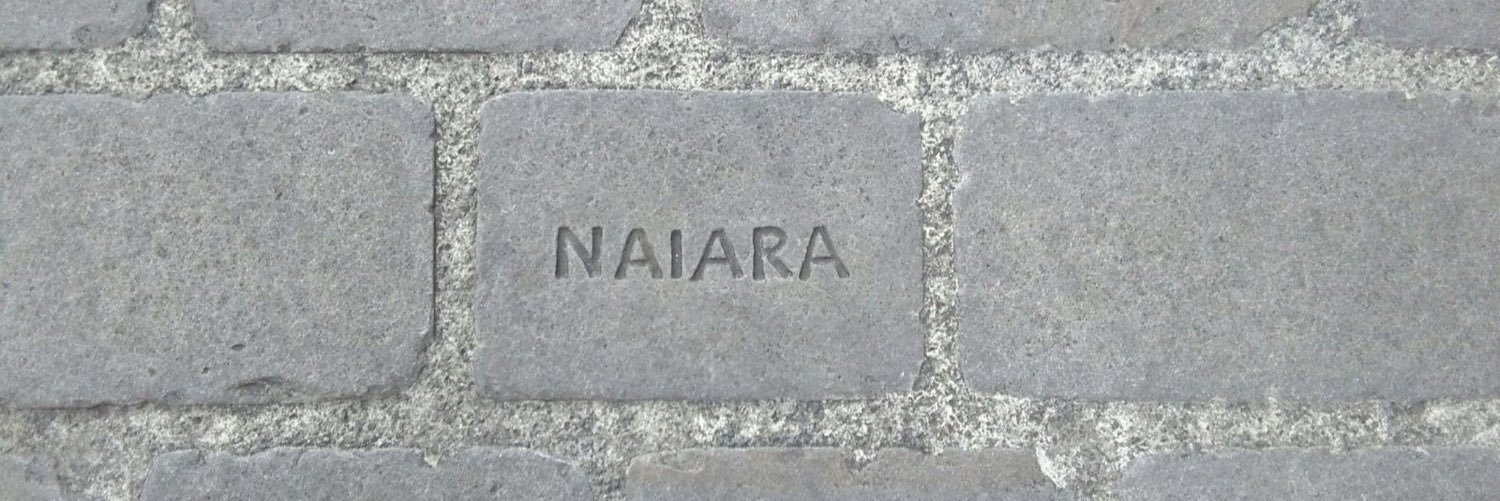 NaiaraDutor's profile banner image