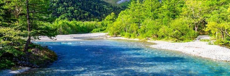 Imelda 📚🪴🌺🌲🌎 banner