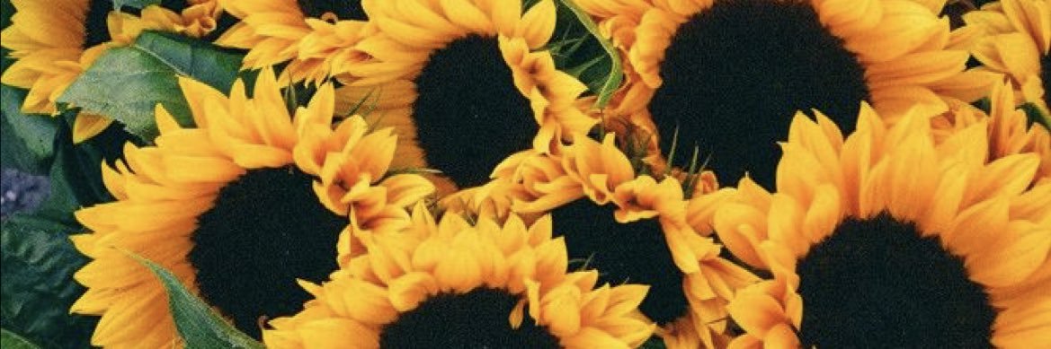 Azwii_N's profile banner image