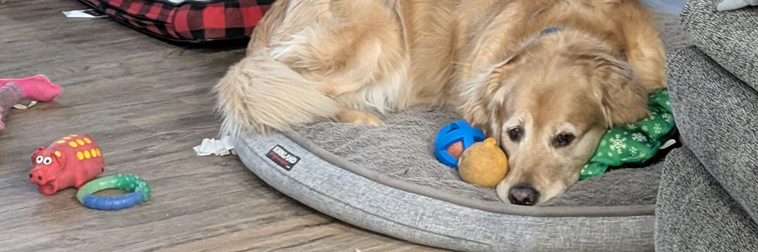 Jason Rodgers banner