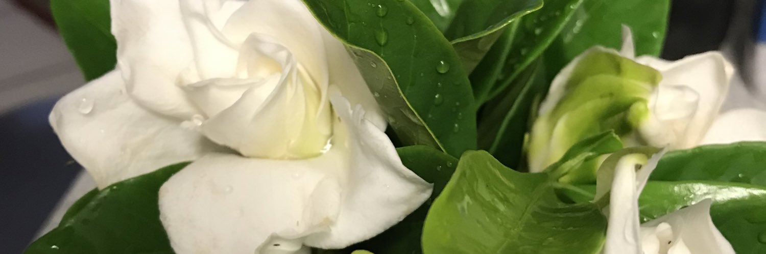abuelasandra's profile banner image