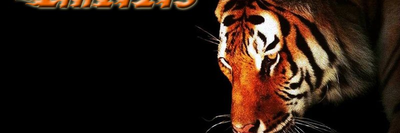 Lt_Linz's profile banner image