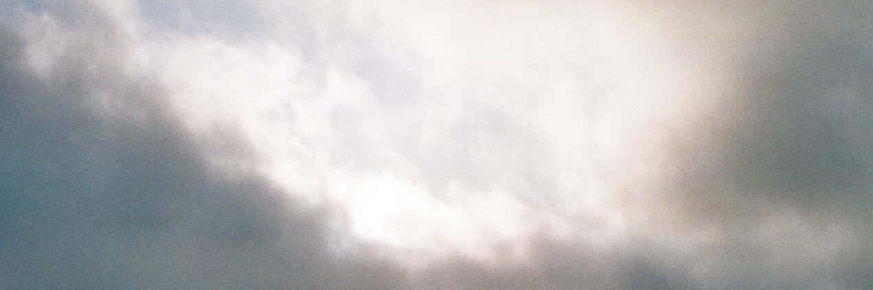 AlexTacchino's profile banner image