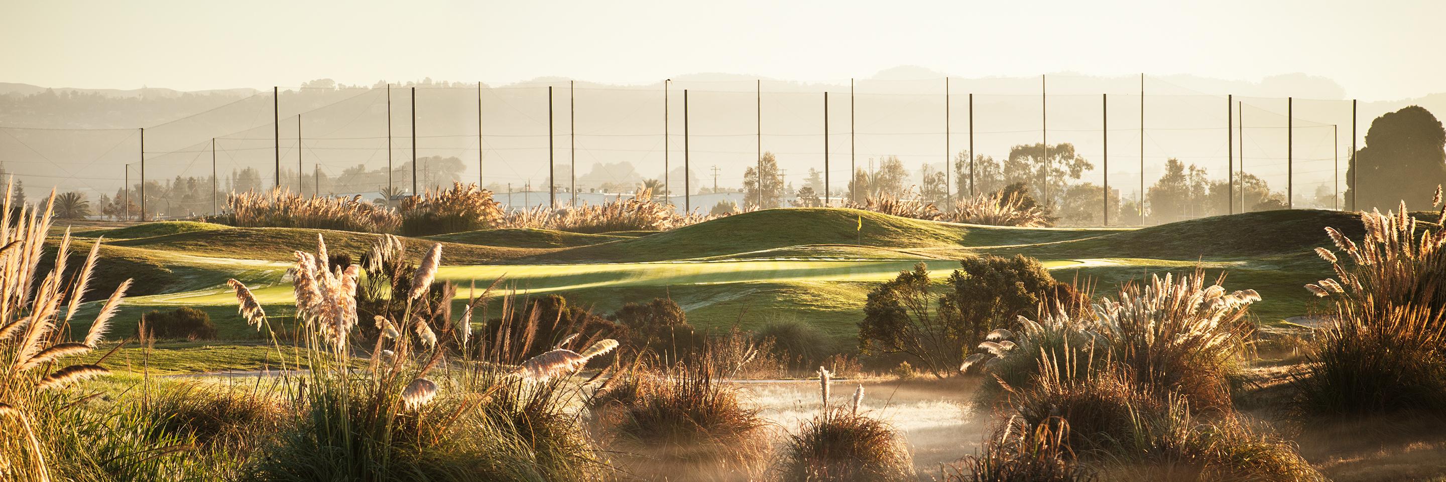 Metropolitan Golf banner