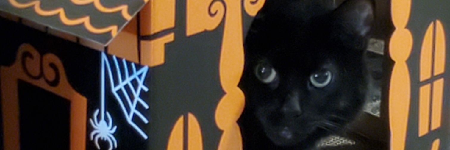 faerhie's profile banner image
