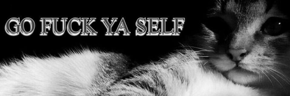 lyssloue's profile banner image