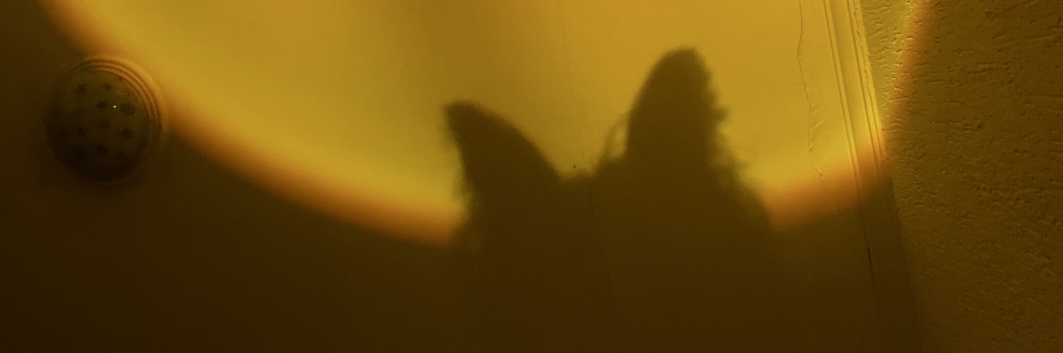 vanfsouzaa's profile banner image
