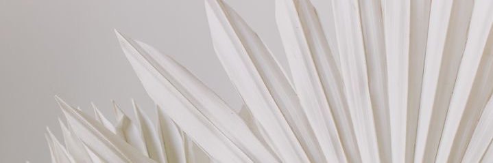 AutumnSorell's profile banner image
