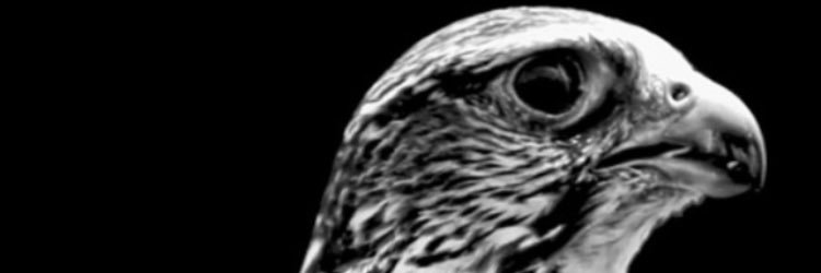 A_Aj63's profile banner image