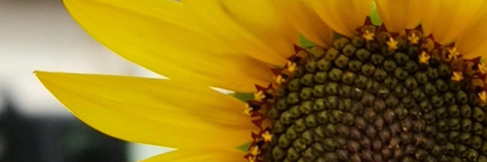 Brysa12's profile banner image