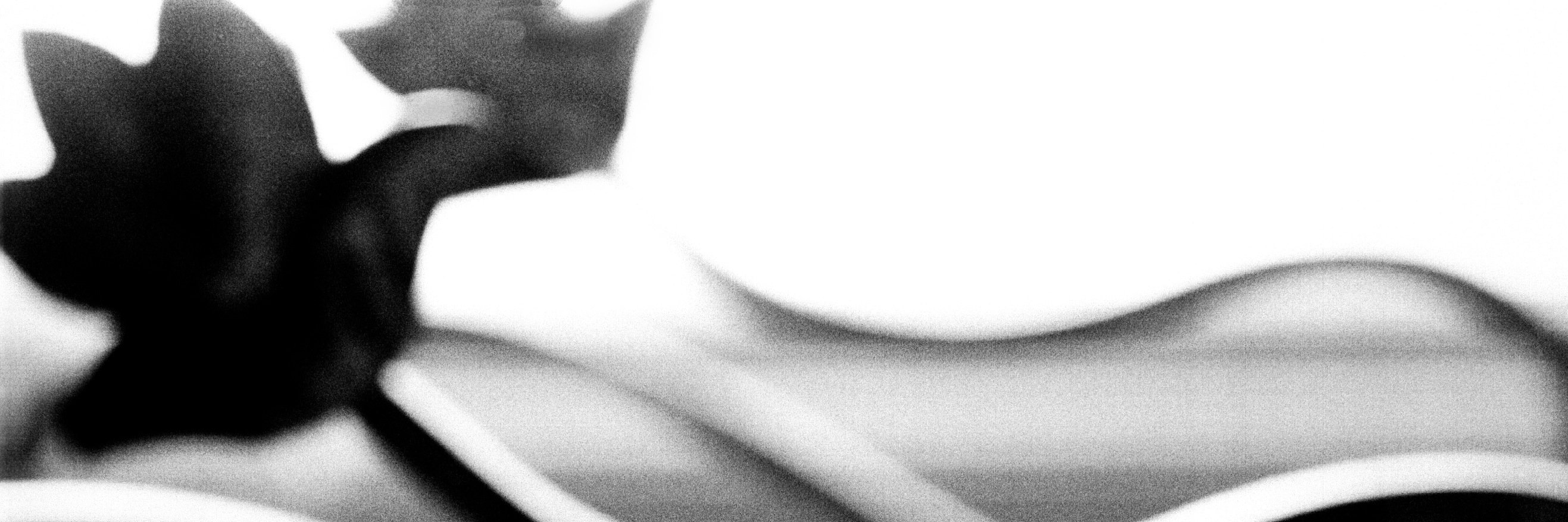 MaDLz's profile banner image