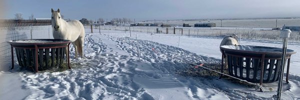 NWHorseSource Profile Banner