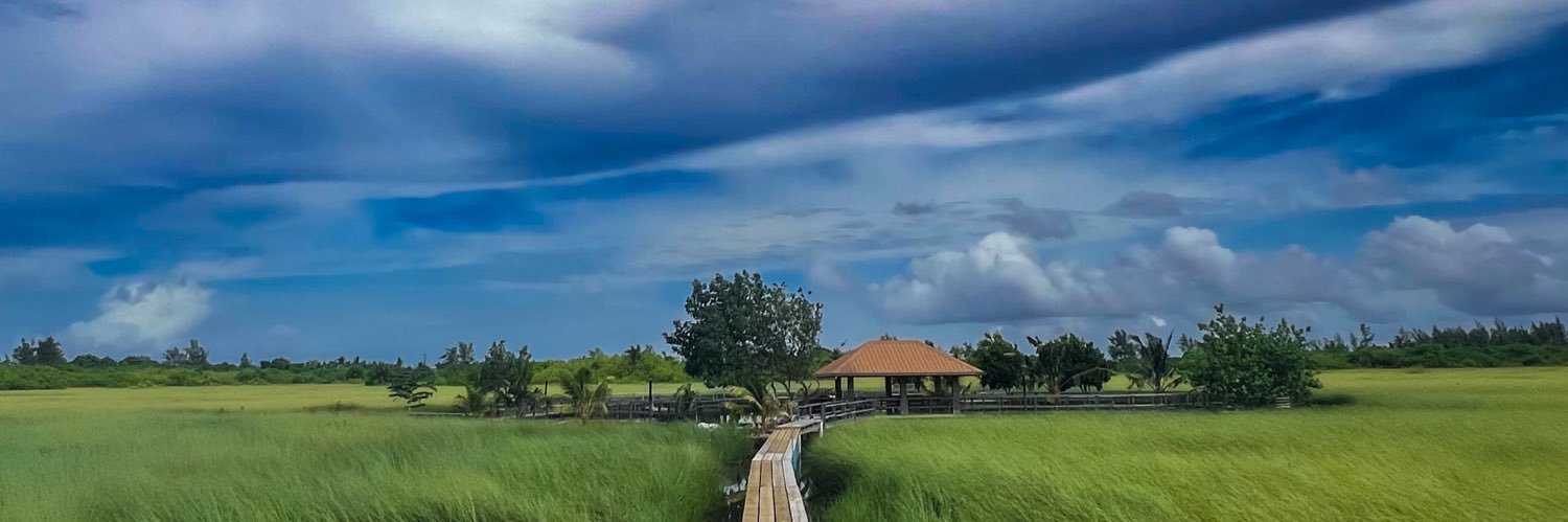 Hussain Jinan banner