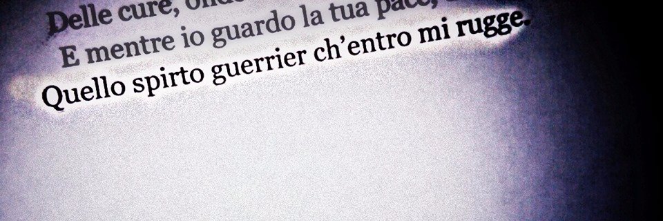 Francesco Magni banner