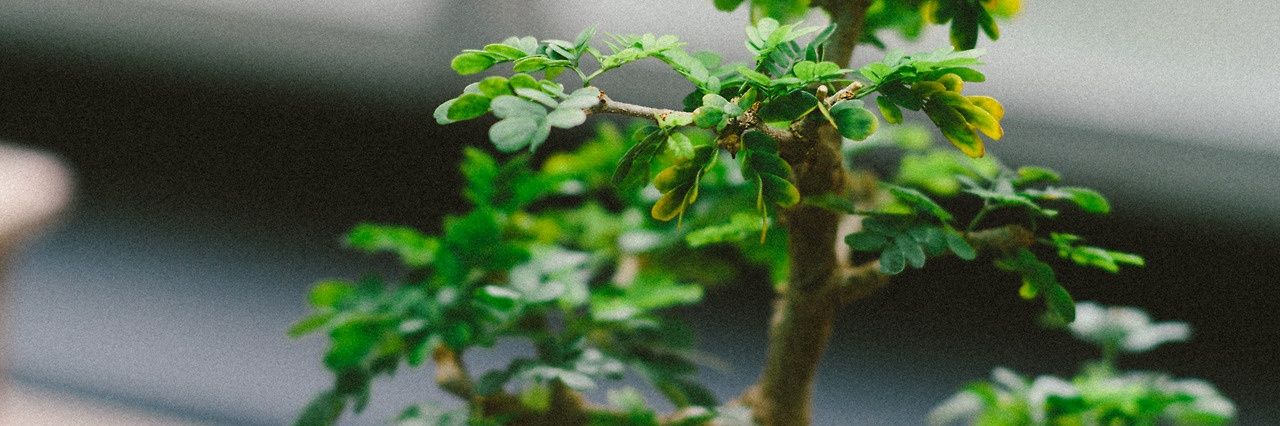 AivyLe's profile banner image
