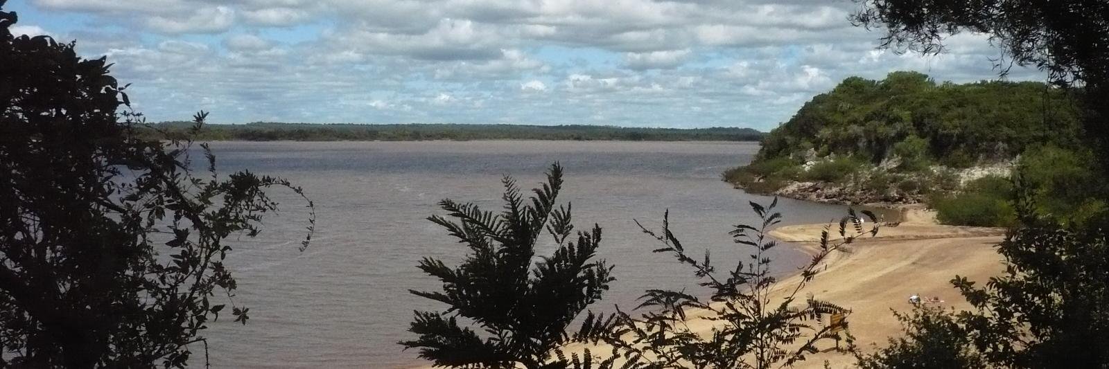 Cristina Borrás banner