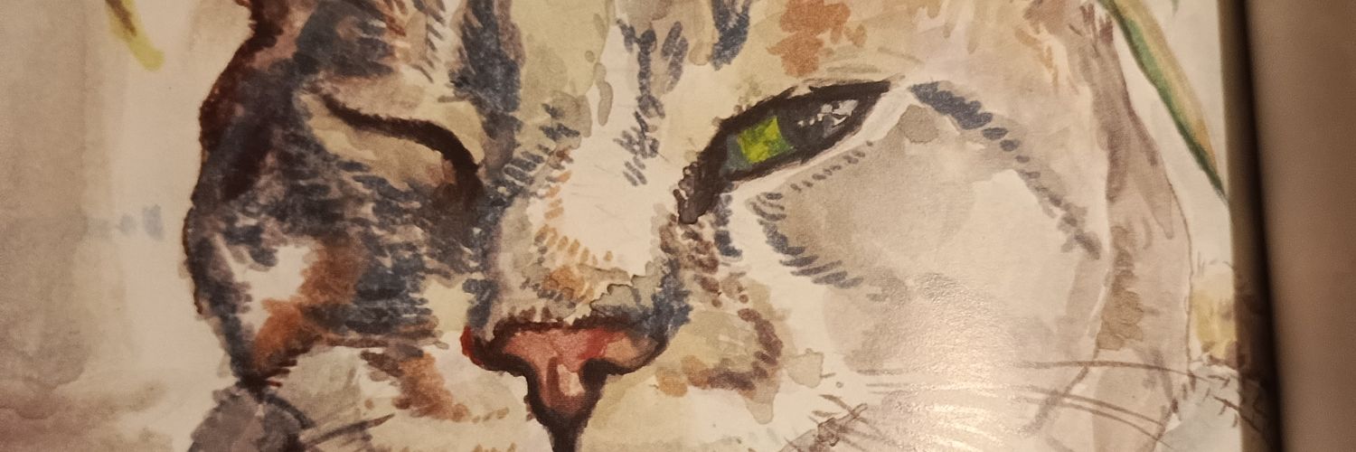 baydinadam's profile banner image