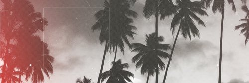 _RachelLang's profile banner image