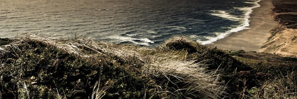 EnvHumanities Profile Banner