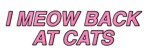 natalieMsnyder Profile Banner