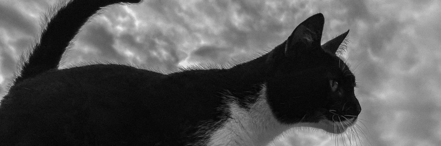 larissadr_'s profile banner image
