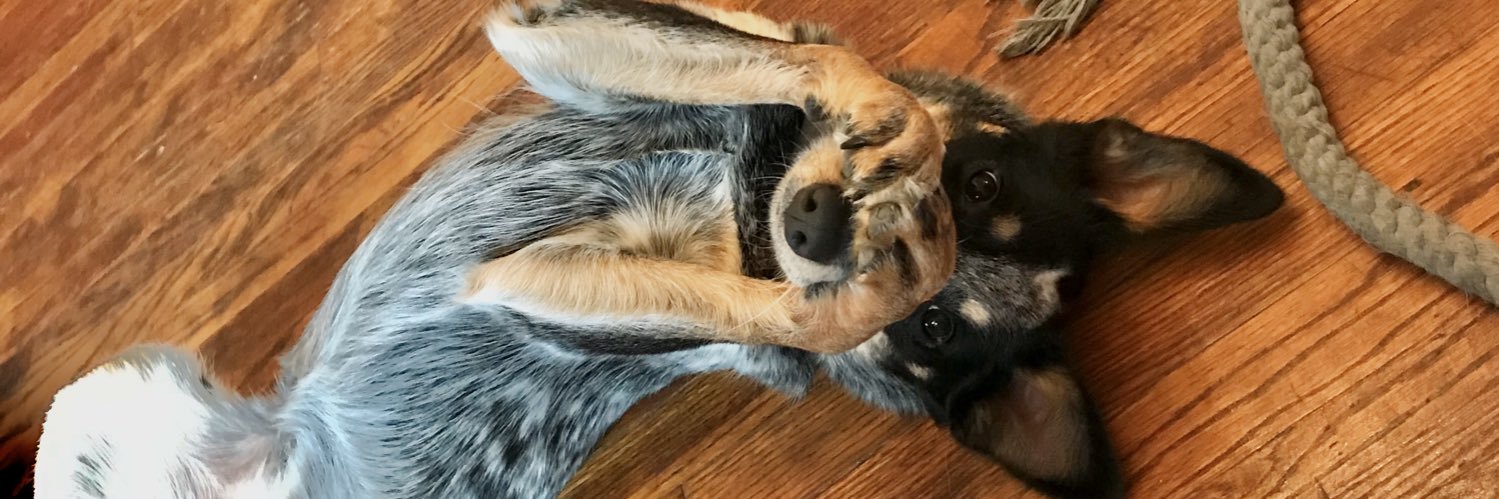 Madison Baldwin banner