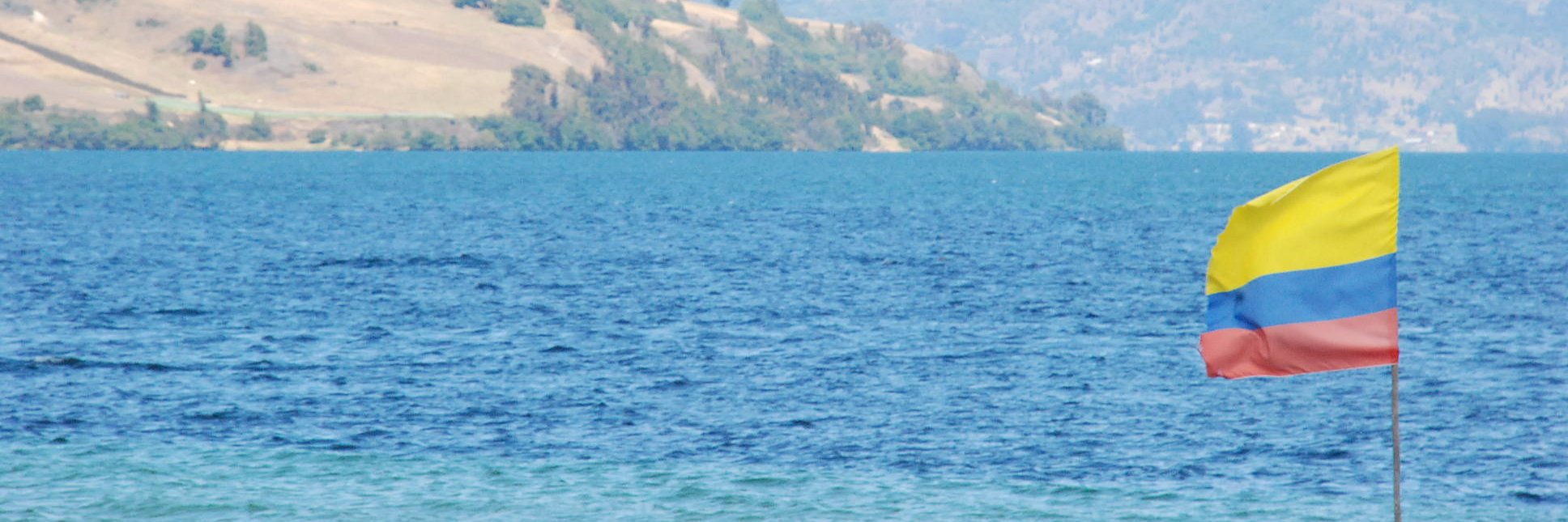 Sara Rodante 🍉 banner