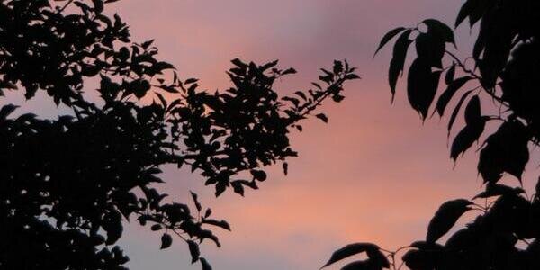 emmhiggss's profile banner image