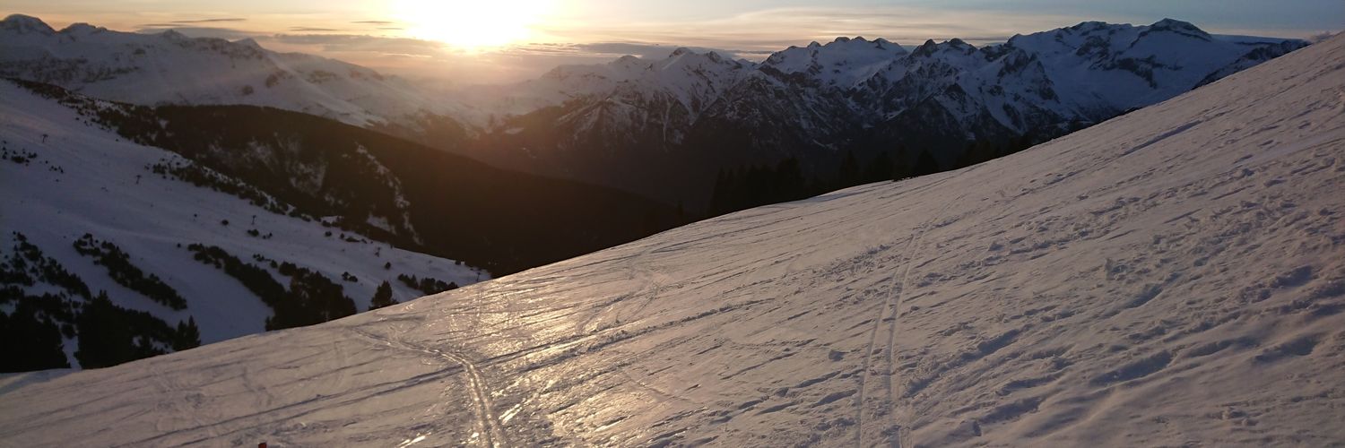 mmguerri's profile banner image