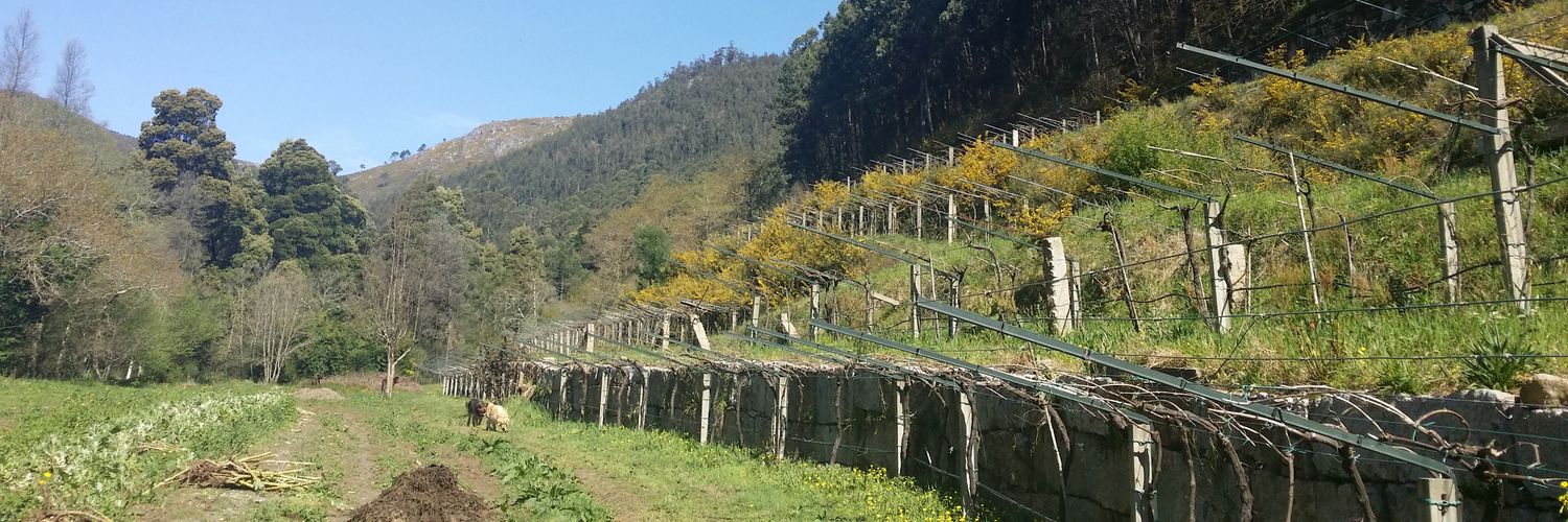 Adega Entreosrios banner