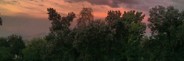 2followthecrowd Profile Banner