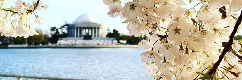 carolinebixby's profile banner image