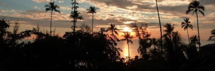 zbraddockphoto's profile banner image