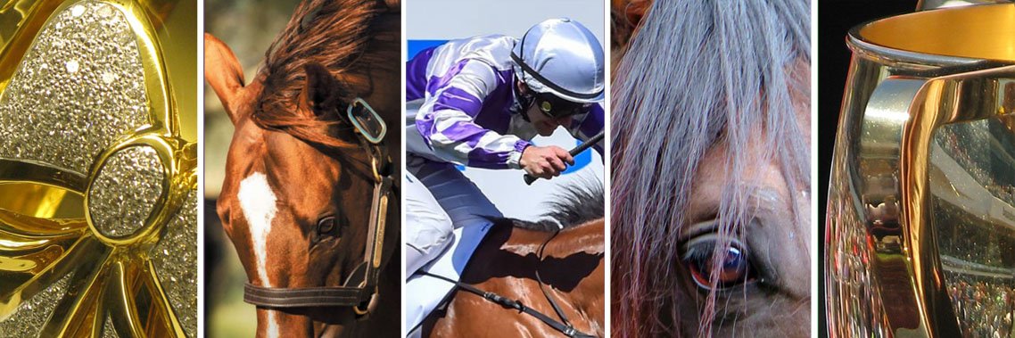 McDonnellAnne's profile banner image