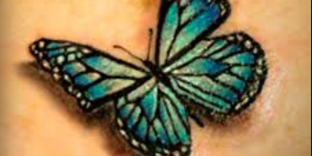 LauraAyers3's profile banner image