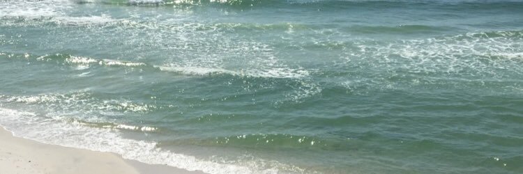 NesyaGreen's profile banner image