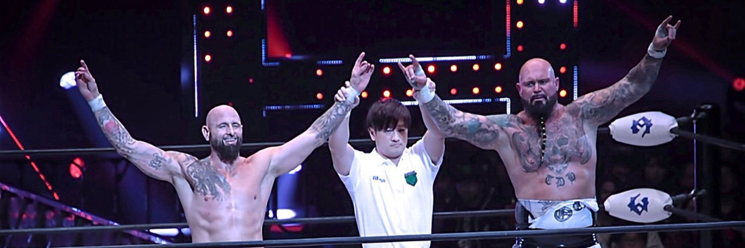 Karl Anderson banner