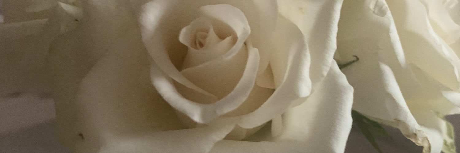 LMarDunn's profile banner image