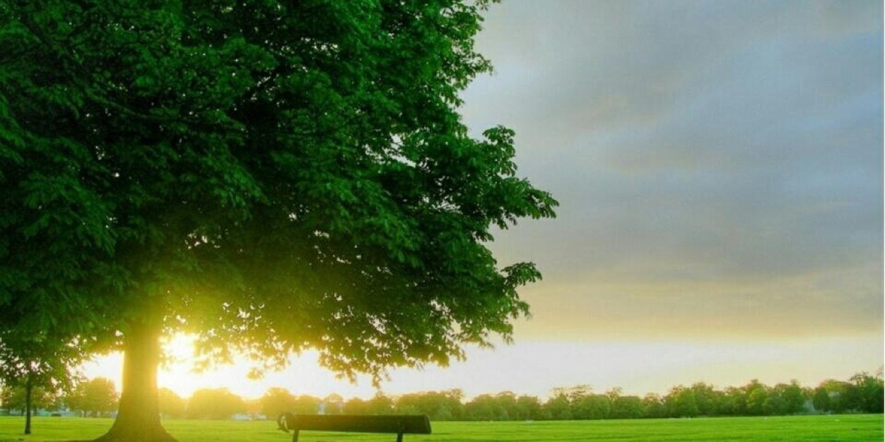 423_nag's profile banner image
