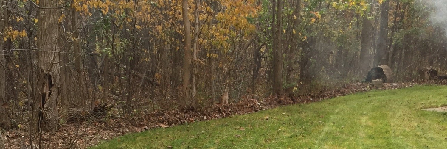 hamlingj's profile banner image