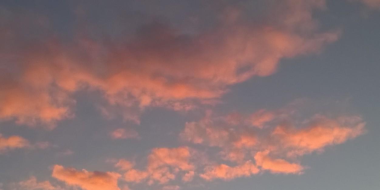 _artzgal_'s profile banner image