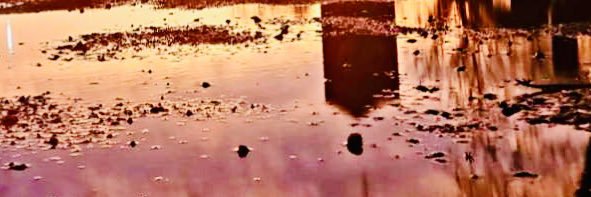 Gumbo605's profile banner image