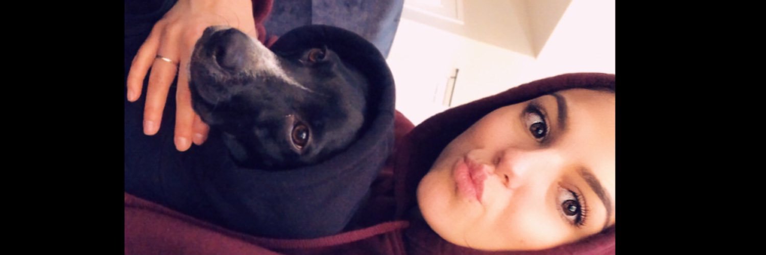 ash_crack24's profile banner image