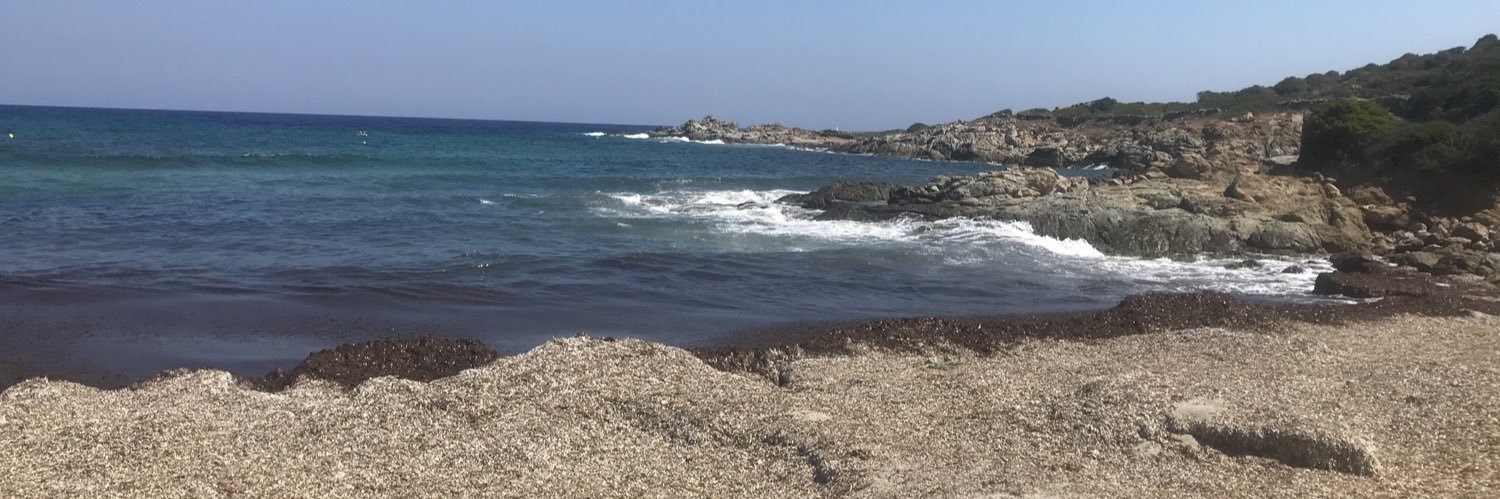 Alex Antscherl banner