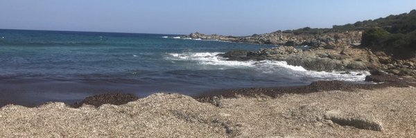 FictionFanatic1 Profile Banner