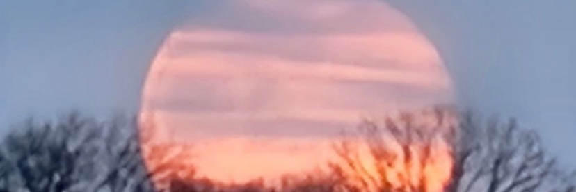 SoCalStergulz's profile banner image